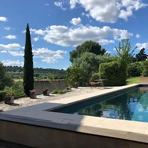 Le Mas Des Pignes -adults Only Bed & Breakfast